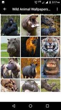 Wild Animal Wallpapers HD 7 تصوير الشاشة