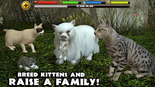 Stray Cat Simulator screenshot 2