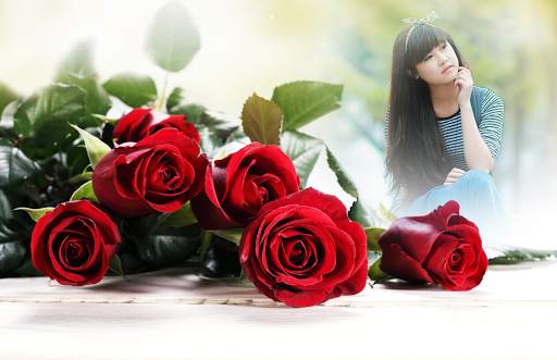 Red Rose Photo Frames screenshot 2