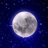 Twinkling Stars Live Wallpaper PRO