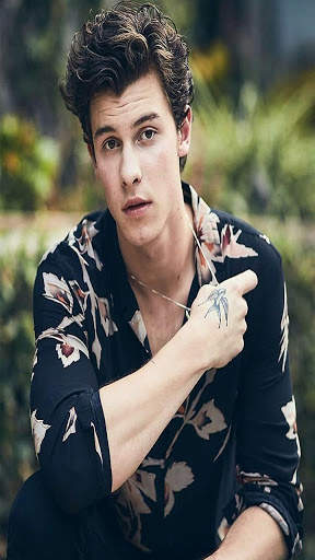 Shawan Mendes Hoyi Wallpapers screenshot 2