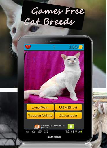 Cat Breeds: Cat Games screenshot 7