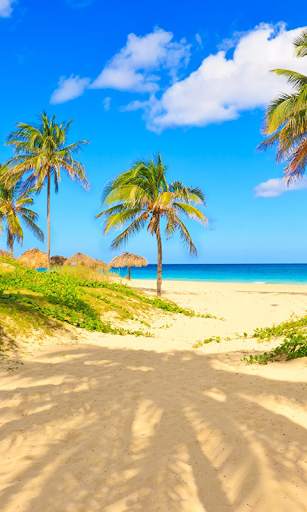 Beach Live Wallpaper (Wallpapers & Backgrounds) screenshot 1