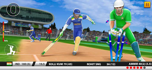 World Cricket Games :T20 Cup screenshot 7