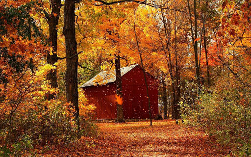 Autumn Live Wallpaper (backgrounds & themes) screenshot 11