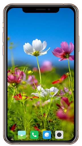 Spring  Wallpaper HD screenshot 10
