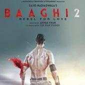 Baaghi 2 Full Movie Download 1.0