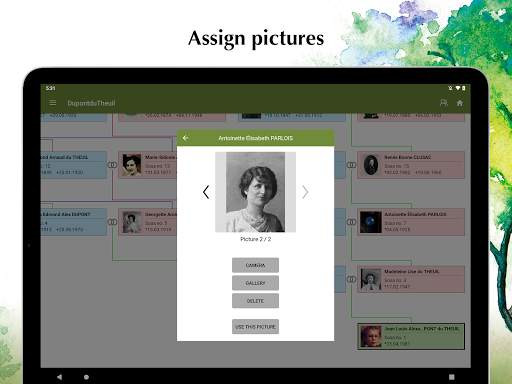 Family Tree Explorer Viewer – for the PC software screenshot 15