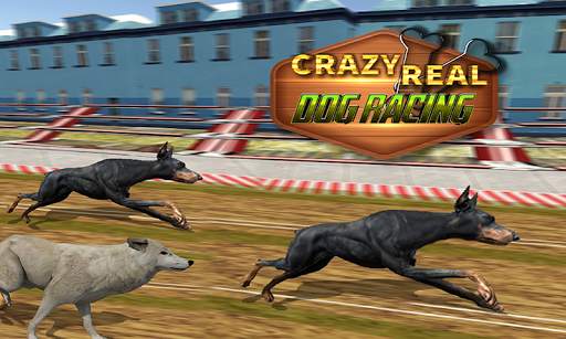 Crazy Real Dog Race: Greyhound Racing Game screenshot 5