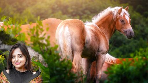 Horse Photo Editor Pic Frames 8 تصوير الشاشة