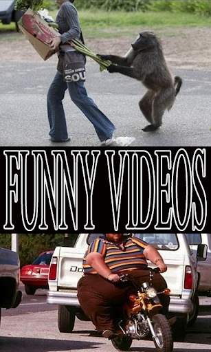Funny Videos screenshot 1
