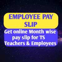 IFMIS TS Employees payslip Download