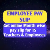 IFMIS TS Employees payslip Download
