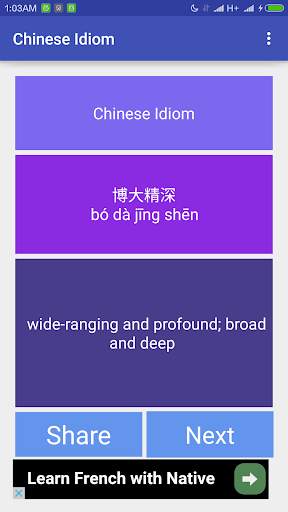 Basic Chinese Idioms скриншот 1