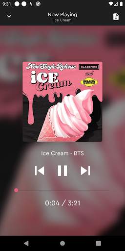 The Blackpink Album Song Offline 2020 screenshot 3