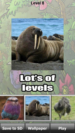 Wild animals puzzle: Jigsaw screenshot 5