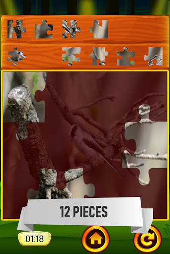 Birds Jigsaw Puzzle स्क्रीनशॉट 4