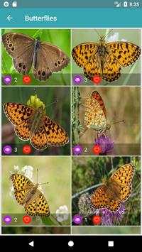 Nature Wallpapers: Birds, Animals, Butterflies screenshot 4
