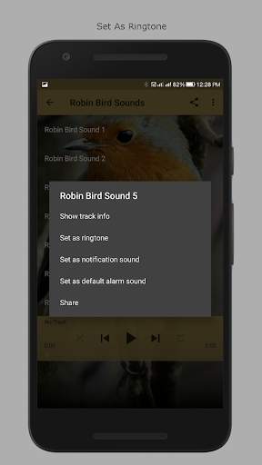 Robin Bird Sounds screenshot 3