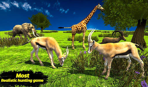Deer Hunting Adventure-Jungle animal hunter screenshot 5