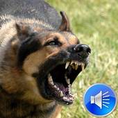 Dog Barking Sounds Ringtones 4.0