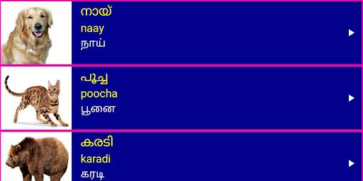 Learn Malayalam From Tamil скриншот 11
