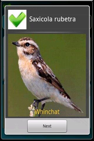 4 Songbird Quiz Games screenshot 3