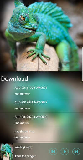 Magnetic Music Player - Gaana Karaoke screenshot 7