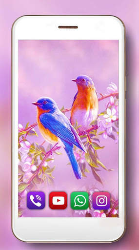 Birds Sounds Live Wallpaper screenshot 6