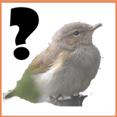Bird image quiz icon