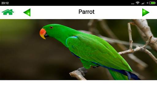 Animal and Bird Sound for Kids screenshot 4