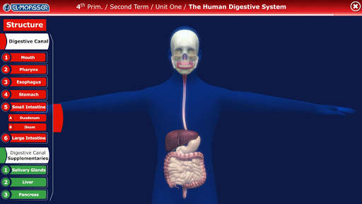 El-Moasser Digestive System 3D screenshot 1