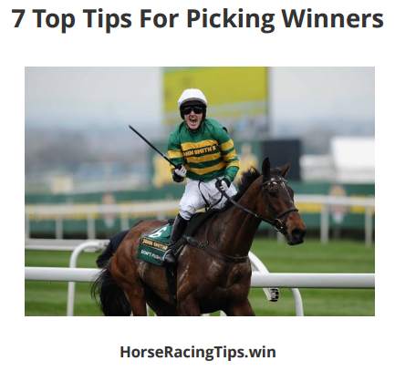 Best Free Horse Racing Tips - 100 Betting Systems screenshot 4