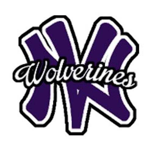 NV CSD 1.0