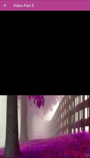 Video Ebeg Bagus screenshot 2