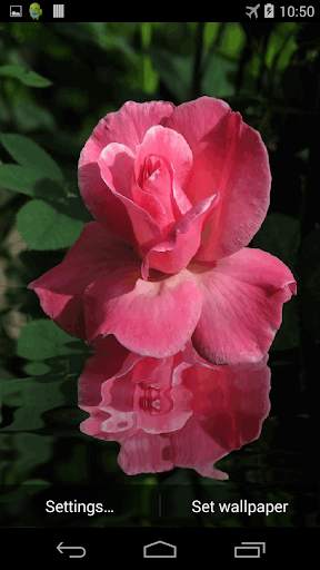 Rose In Water Live Wallpaper screenshot 3
