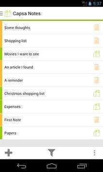Capsa screenshot 1