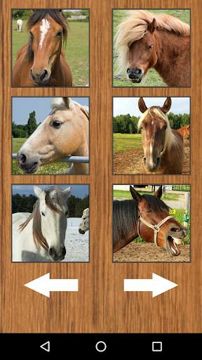 Funny Horse Farm Sounds screenshot 5