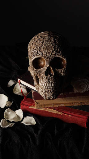 Horror Video Status screenshot 2
