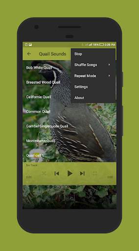 Quail Sounds screenshot 4