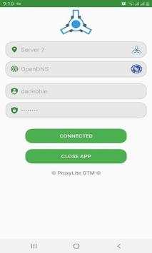 ProxyLite GTM скриншот 2
