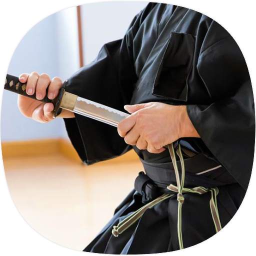 Kenjutsu Sword Fighting Guide 1.1