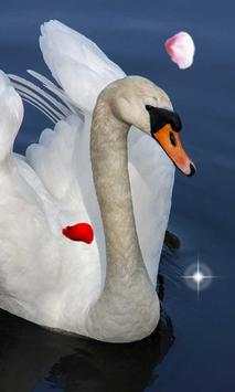 Swans Magic live wallpaper screenshot 1