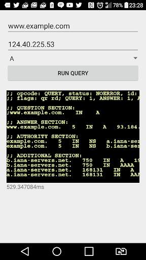 DNS debugger screenshot 1