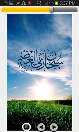 Islamic LWP Pack screenshot 2