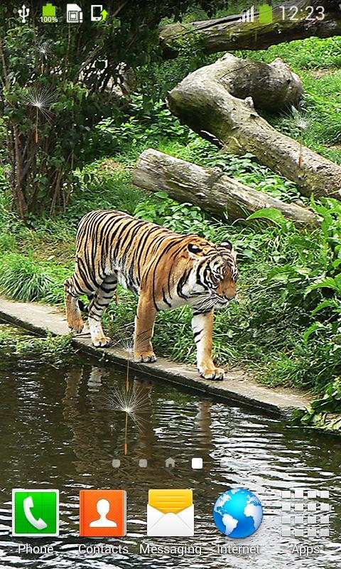 Tiger Live Wallpapers screenshot 6