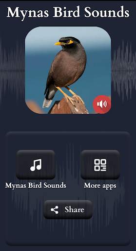 Mynas Bird Sounds screenshot 2