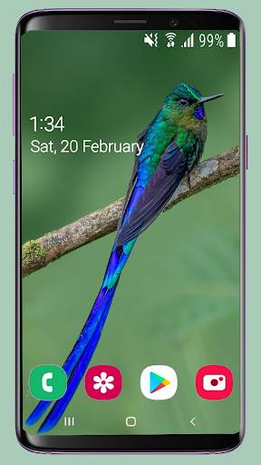 Bird Wallpaper New 4K screenshot 2