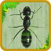 I'm not granny. Im Ant! The Ant King , Rise! 1.0.0012