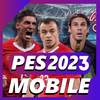 peS pro 23 soccer riddle 1.0